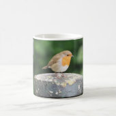 Robin Mug (Centre)