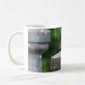 Robin Mug (Gauche)
