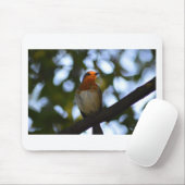 Robin Muismat (Met muis)