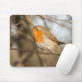 Robin Muismat (Met muis)