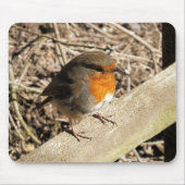 ROBIN MUISMAT (Voorkant)