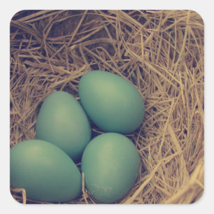 Robin Nest en Eggs Vierkante Sticker