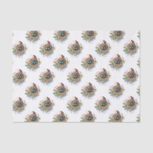 Robin Nest Tissuepapier (Voorkant)