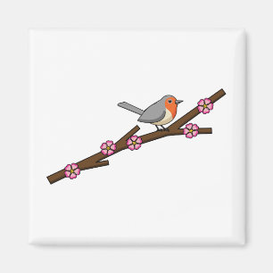 Robin on Sakura Magneet