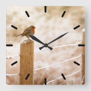 Robin op de Fence Post Clock Vierkante Klok