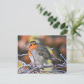 Robin op een Frosty Twig Briefkaart (Staand voorkant)
