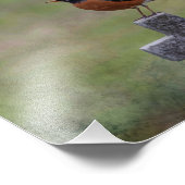 Robin op een kruis foto afdruk (Hoek)