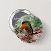 Robin op een ledemaat ronde button 5,7 cm (Voorkant /achterkant)
