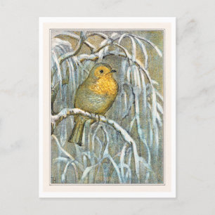Robin op Snowy Tree Branch Briefkaart
