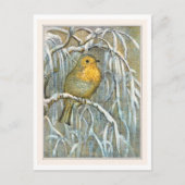 Robin op Snowy Tree Branch Briefkaart (Voorkant)