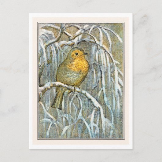 Robin op Snowy Tree Branch Briefkaart (Voorkant)