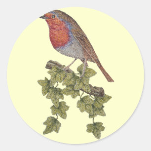 Robin op viyleaf wilde vogels ronde sticker