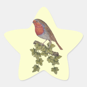 Robin op viyleaf wilde vogels ster sticker