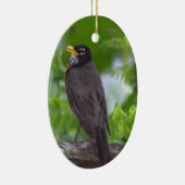 Robin Photo Ornament (Rechts)