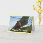 Robin Photography Birthday Kaart (Gele Bloem)