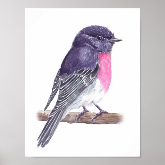 Robin Poster (Voorkant)