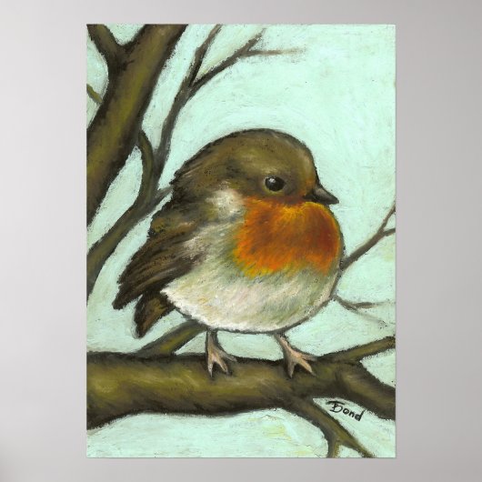 Robin Poster (Voorkant)