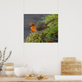 Robin Poster (Keuken)
