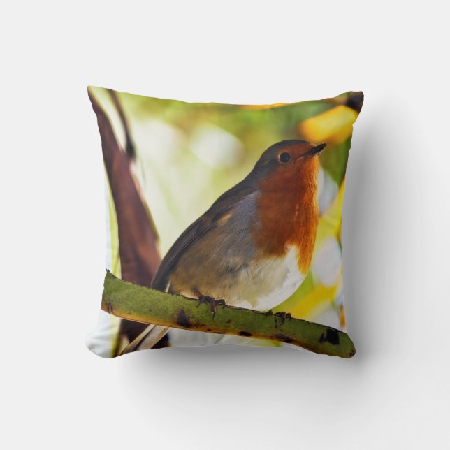 Robin Red-borstelvogel Kussen (Voorkant)
