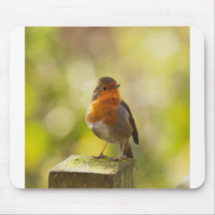 Robin Red-borstelvogel Muismat