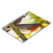 Robin Red-borstelvogel Notitieboek (Linkerzijde)