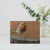 Robin RedbormamRobin Briefkaart (Staand voorkant)