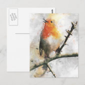 Robin RedbormamRobin Briefkaart (Voorkant / Achterkant)
