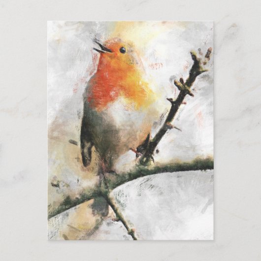 Robin RedbormamRobin Briefkaart (Voorkant)