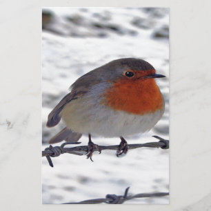 Robin RedbormamRobin Briefpapier