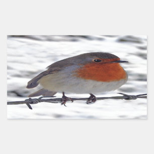 Robin RedbormamRobin Rechthoekige Sticker