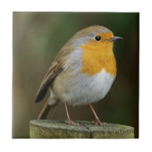 Robin RedborTile Tegeltje (Voorkant)