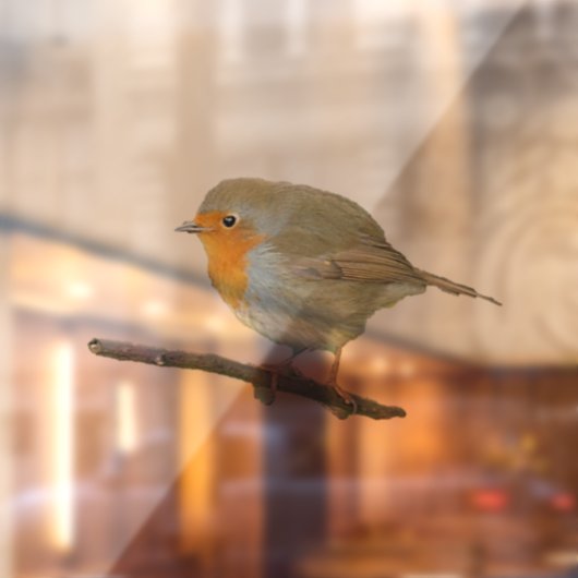 Robin RedborWindow Cling Raamsticker (Vel 2)