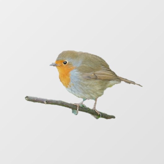 Robin RedborWindow Cling Raamsticker (Vel)