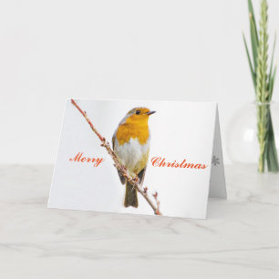 Robin Redbreast. Feestdagen Kaart