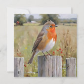 Robin Redbreast Groeten Kaart (Voorkant)