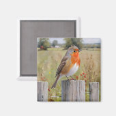 Robin Redbreast Magnet Magneet (Voorkant / Achterkant)