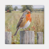 Robin Redbreast Magnet Magneet (Voorkant)