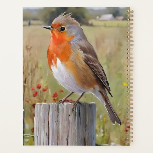 Robin Redmamin (Dos)