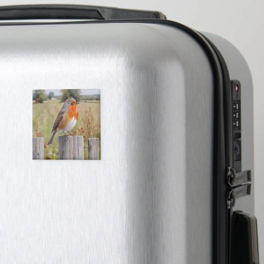 Robin Redmamin Magnet (In Situ (Bagages))