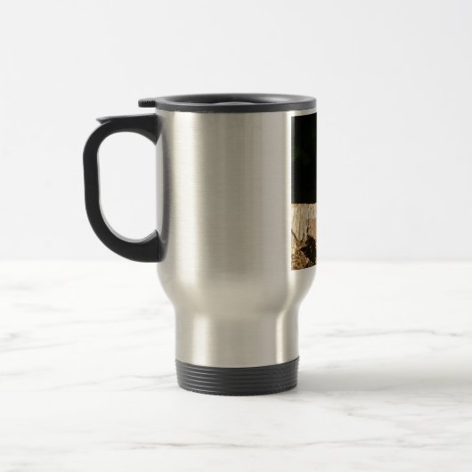 Robin Reisbeker (Links)