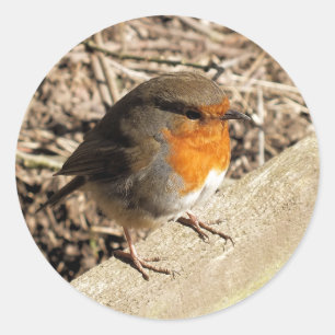 ROBIN RONDE STICKER