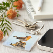 Robin singing  sleutelhanger (Voorkant Rechts)