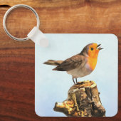 Robin singing  sleutelhanger (Voorkant)