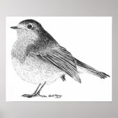 Robin Sketch Poster (Devant)