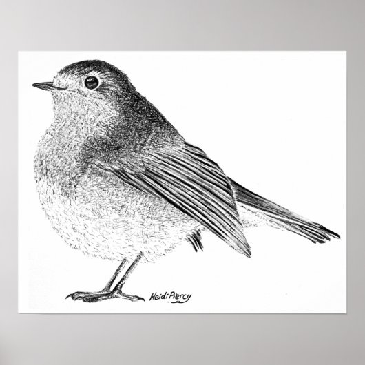 Robin Sketch Poster (Devant)