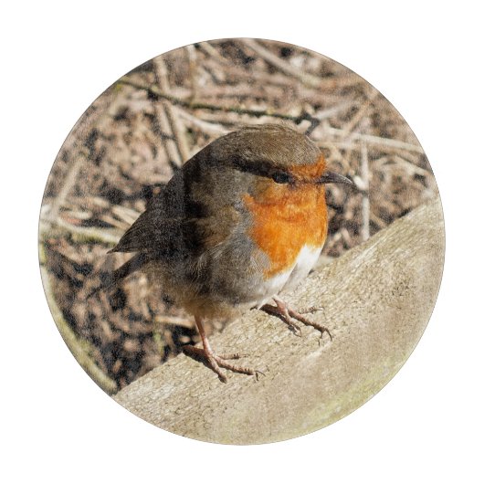 ROBIN SNIJPLANK (Voorkant)