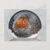 Robin Snowglobe Briefkaart (Voorkant)
