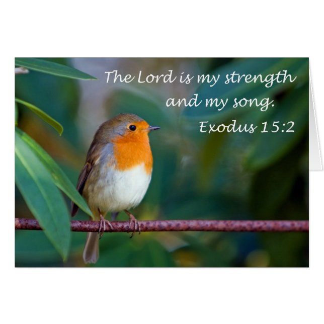 Robin Song Card (Voorkant Horizontaal)