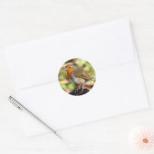 Robin Sticker (Envelop)