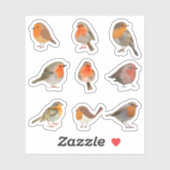 Robin Stickers (Vel)